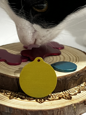 Customised Pet Tags